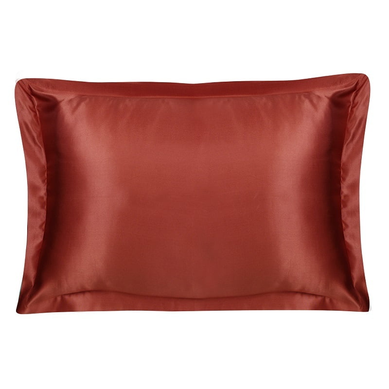 Swaas 100% Mulberry Silk Clay Pillow Cases - Set of 2