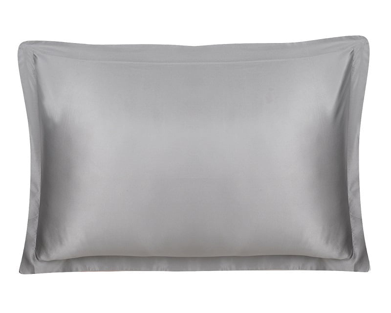 Swaas 100% Mulberry Silk Silver Pillow Cases - Set of 2