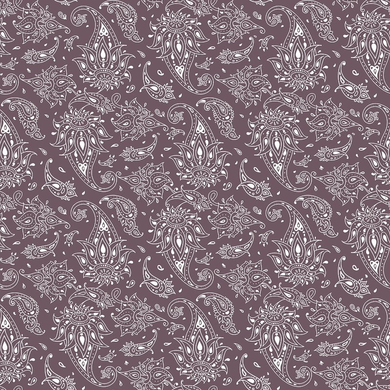 Swaas 100% Pure Cotton Wild Paisley Brown Bedsheet Set