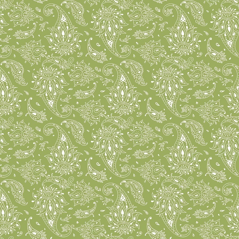 Swaas 100% Pure Cotton Wild Paisley Green Bedsheet Set