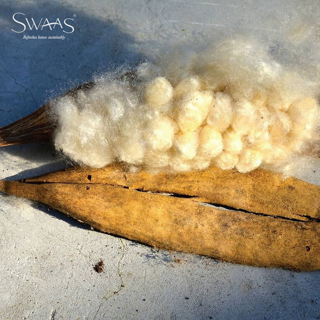 100% Organic Silk Cotton Pillow - White