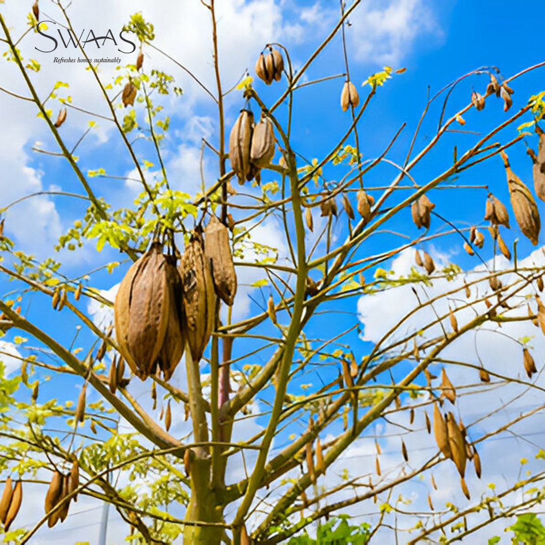 100% Organic Silk Cotton Pillow - Antarctic Grey